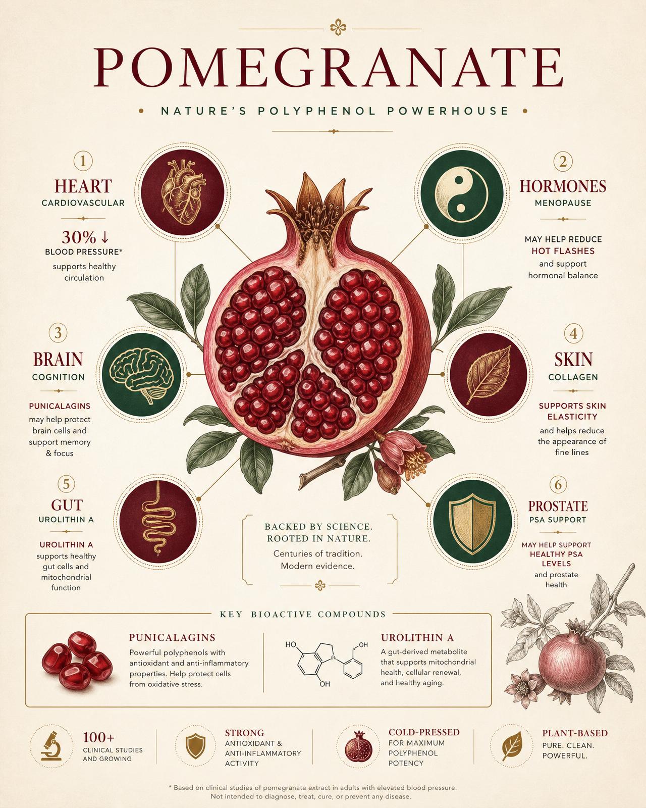 Pomegranate health infographic: heart, hormones, brain, skin, gut, and prostate benefits with key bioactive compounds punicalagins and urolithin A