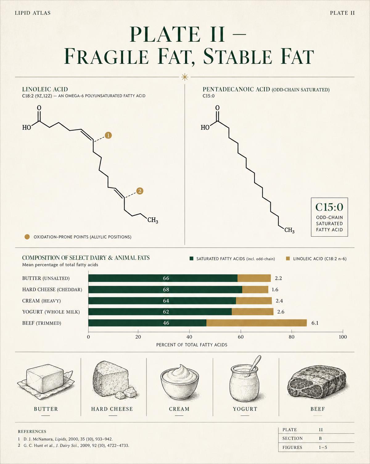 Infographic: Better Fats, Slower Wear: C15:0, Linoleic Acid, and What Your Membranes Are Built From