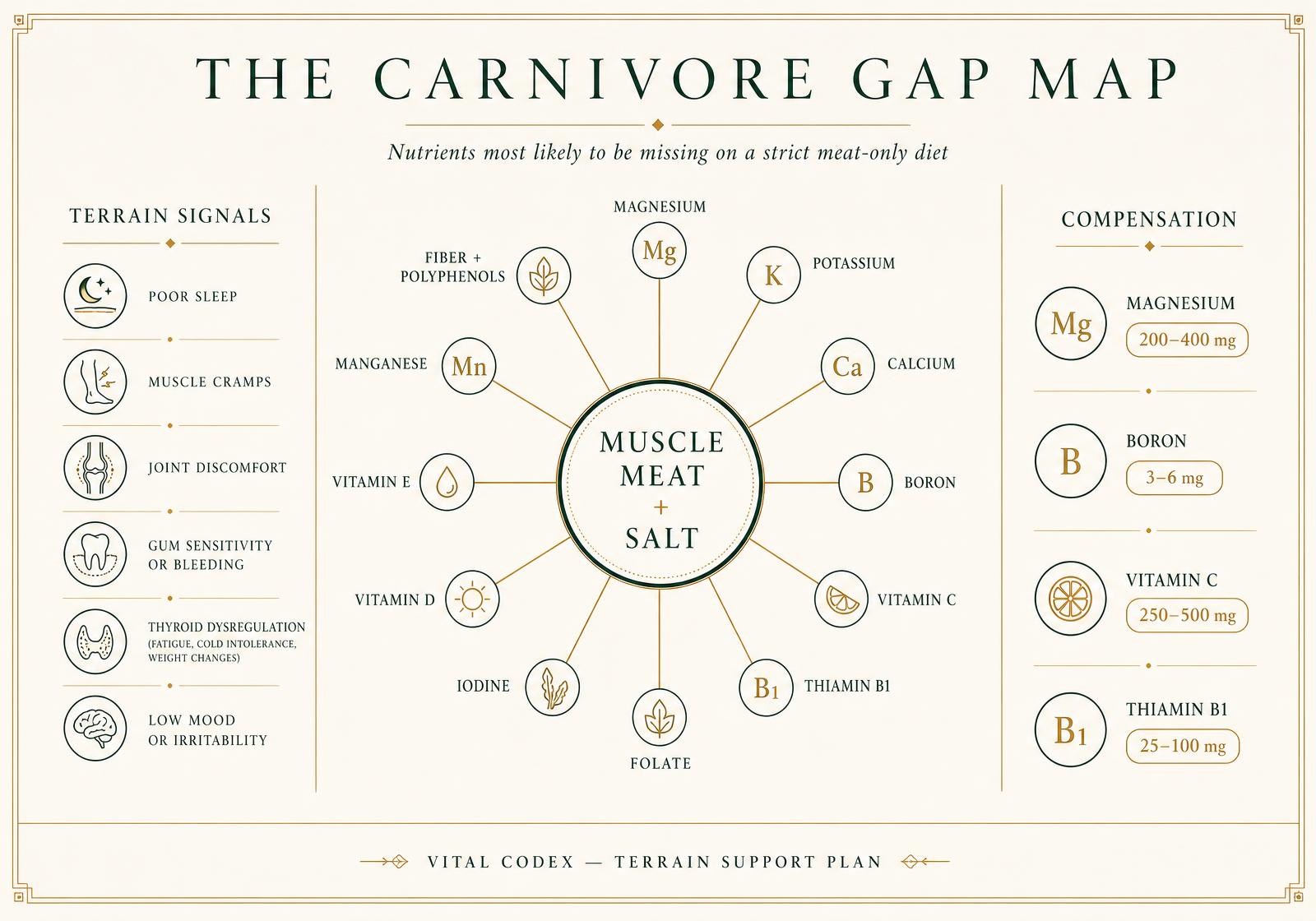 Editorial infographic mapping twelve nutrients most likely to be low on a strict carnivore diet, with terrain signals and compensation doses.