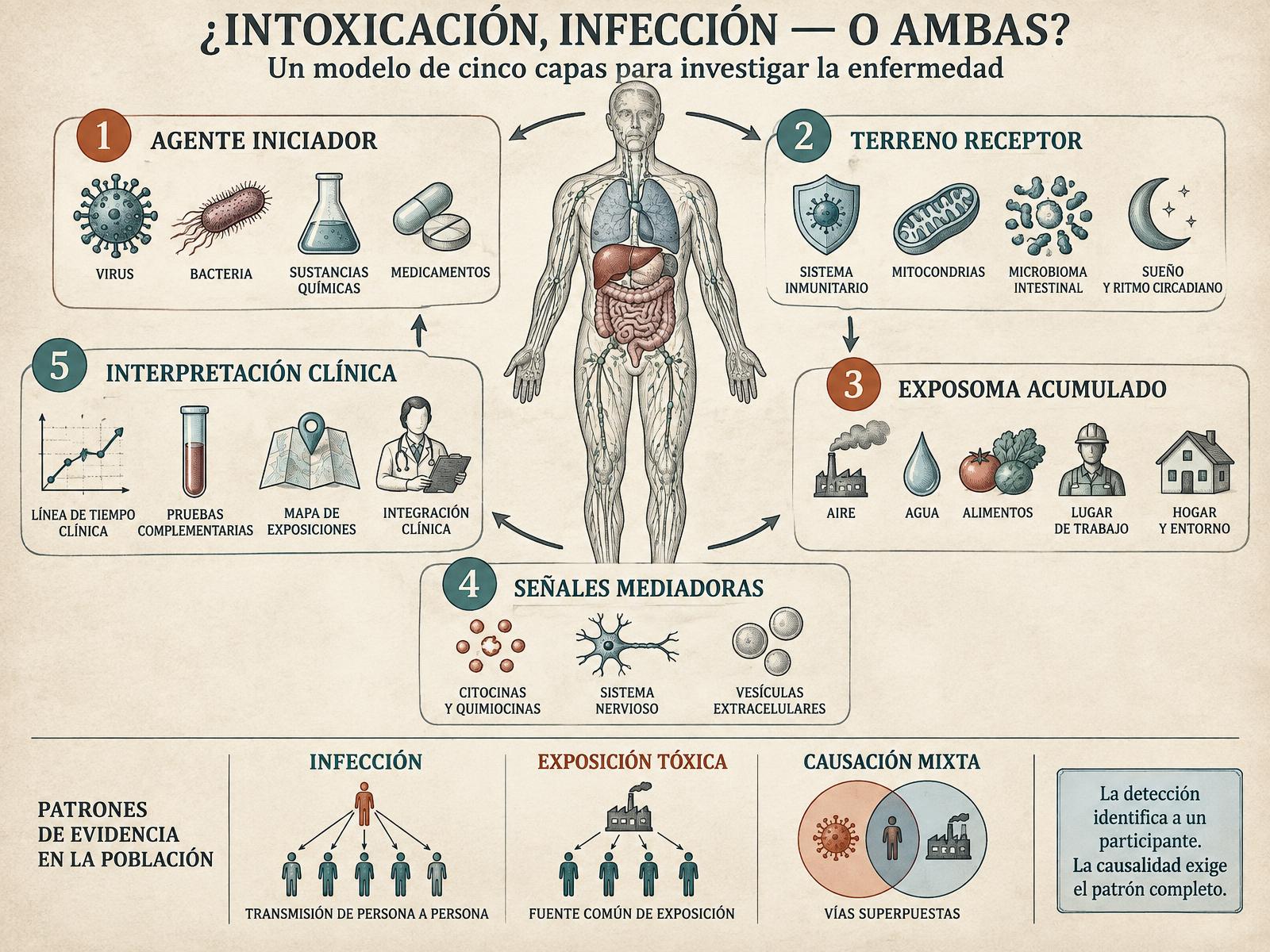 Diagrama médico de cinco capas que compara contagio infeccioso, exposición tóxica común, terreno, exposoma, señales biológicas e interpretación clínica