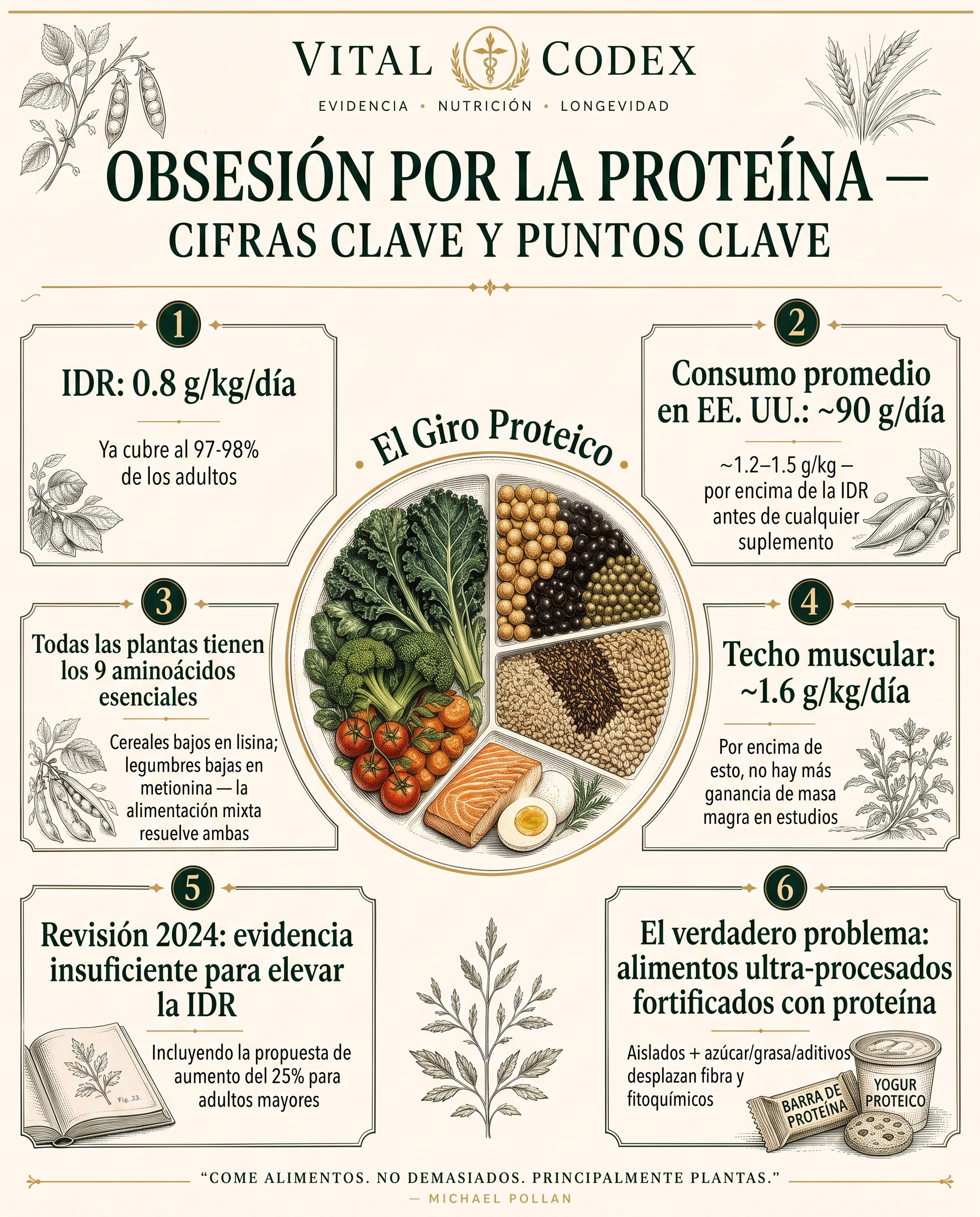 Lámina editorial con las cifras clave de requerimiento proteico por peso corporal, edad y nivel de entrenamiento.