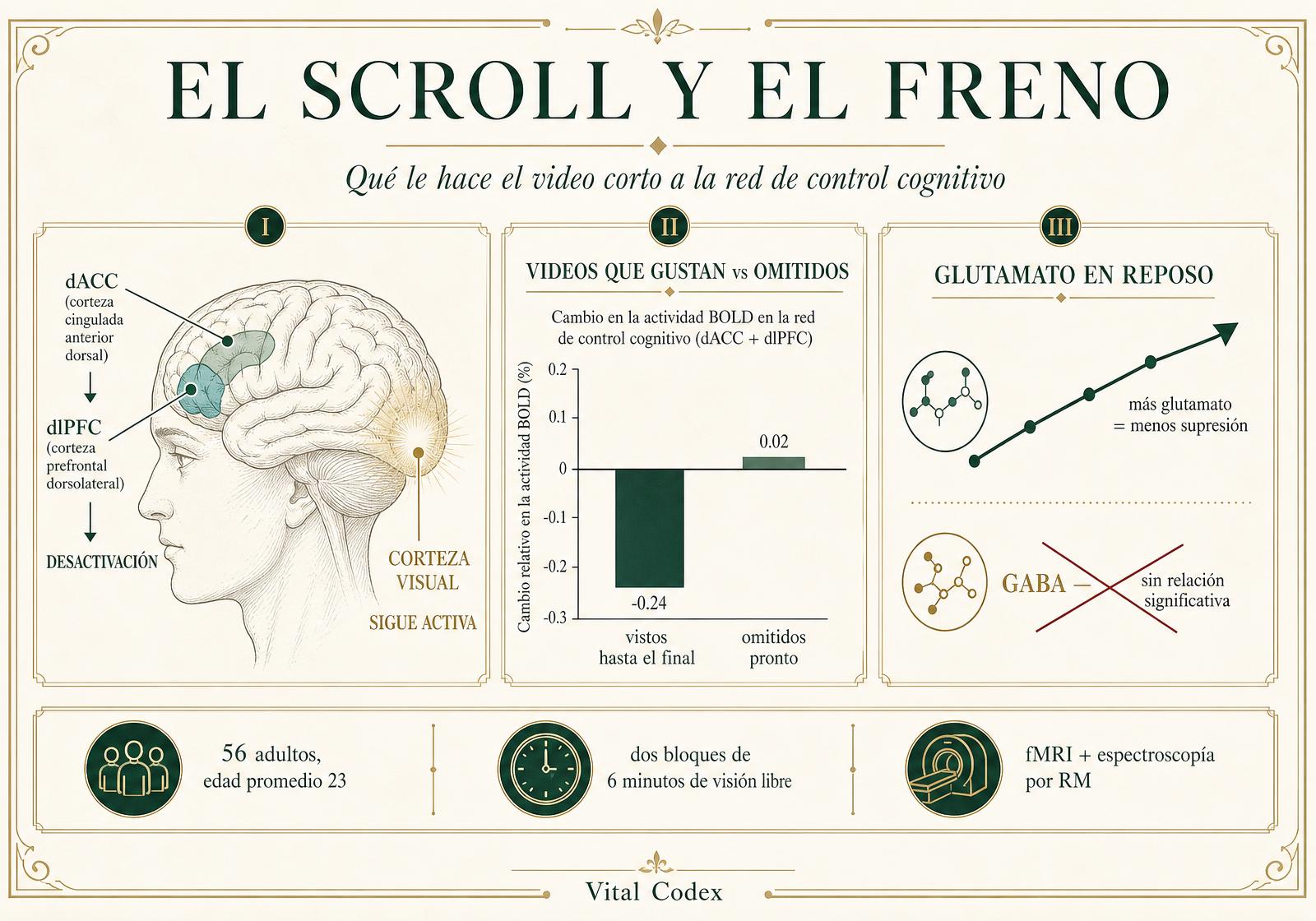 Infografía que muestra la desactivación del dACC y el dlPFC mientras la corteza visual sigue activa durante videos cortos preferidos, una gráfica de barras que compara clips vistos y omitidos, y el glutamato en reposo prediciendo cuánto se suprime la red de control