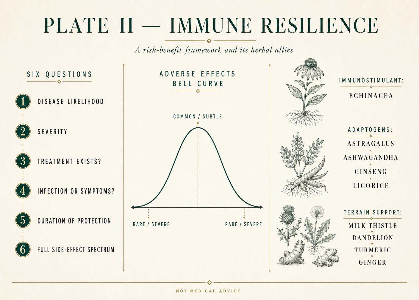 Infographic: Vaccine Risk-Benefit Thinking, Applied Naturopathically: A Framework Plus Herbal Allies for Immune Resilience