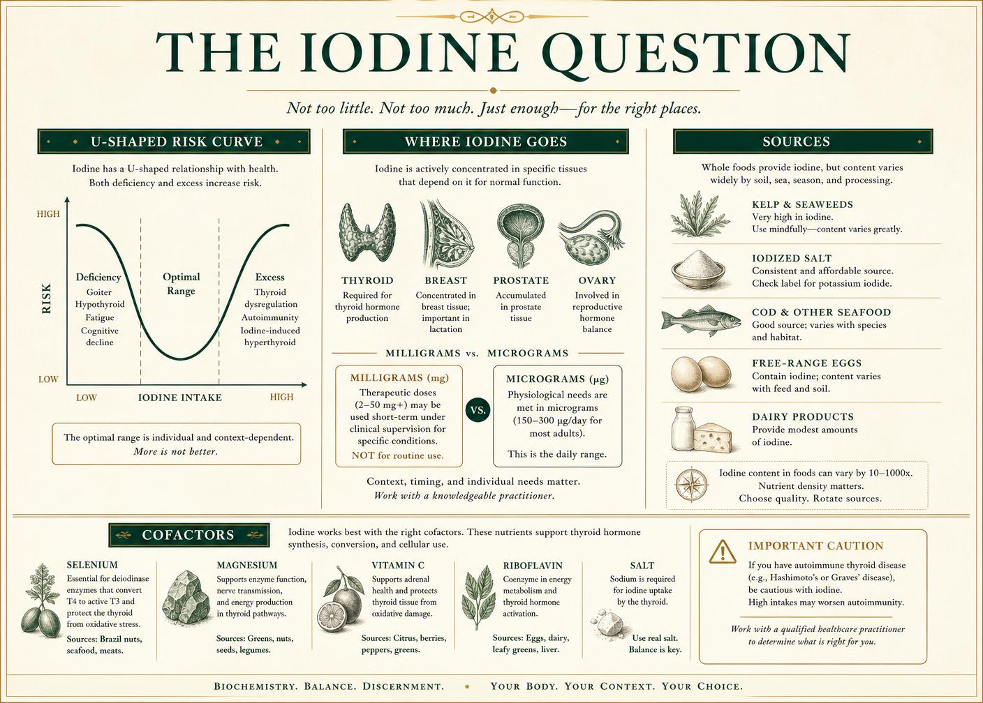 Editorial infographic titled The Iodine Question showing the U-shaped risk curve, iodine-concentrating tissues, food sources, and cofactor nutrients