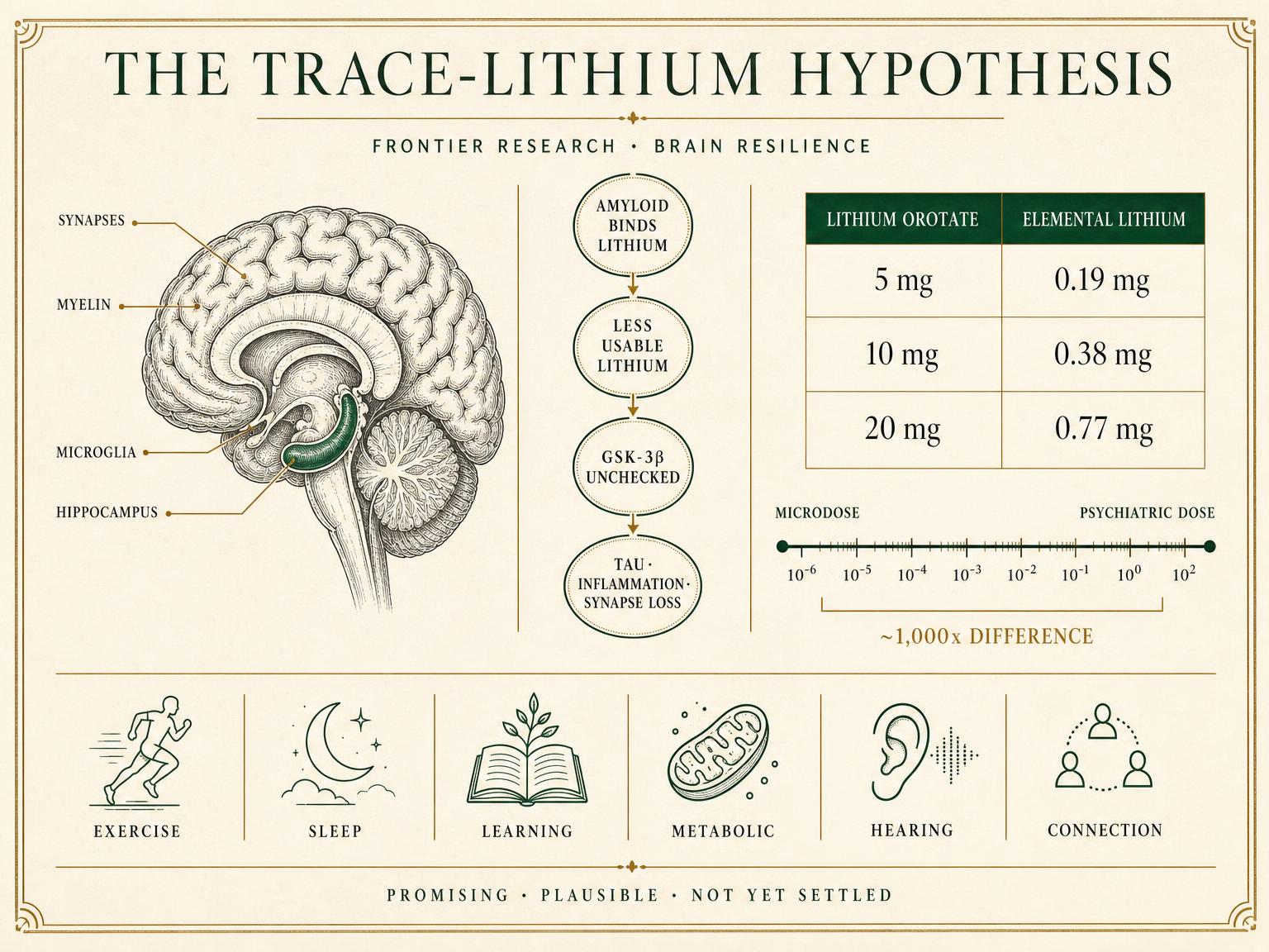 Editorial infographic on low-dose lithium: dose scale from trace water levels to psychiatric dosing, neuroprotective mechanisms, and monitoring needs
