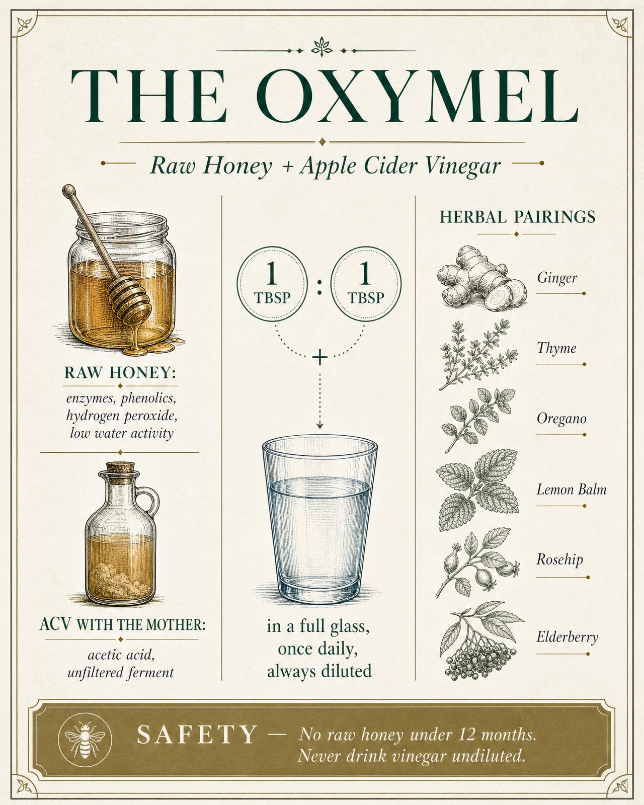 Infographic: Apple Cider Vinegar and Raw Honey: The Traditional Oxymel, Examined